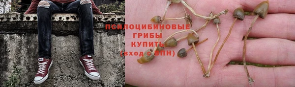 стафф Белокуриха