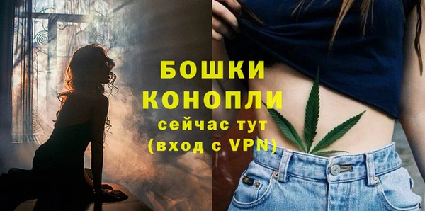 стафф Белокуриха