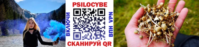 Галлюциногенные грибы GOLDEN TEACHER  Красноперекопск 